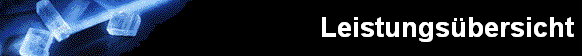  Leistungs�bersicht 
